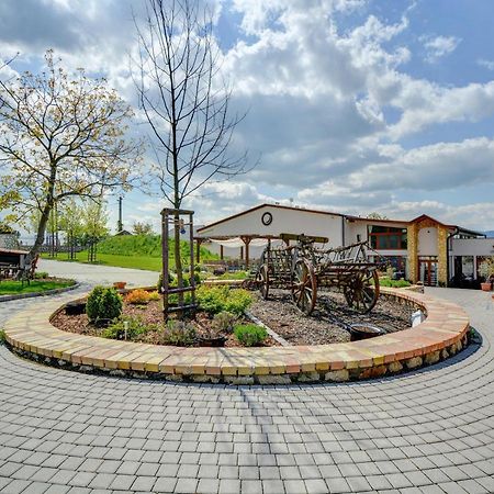 Penzion Tokaj Macik Winery B&B Mala Trna Dış mekan fotoğraf
