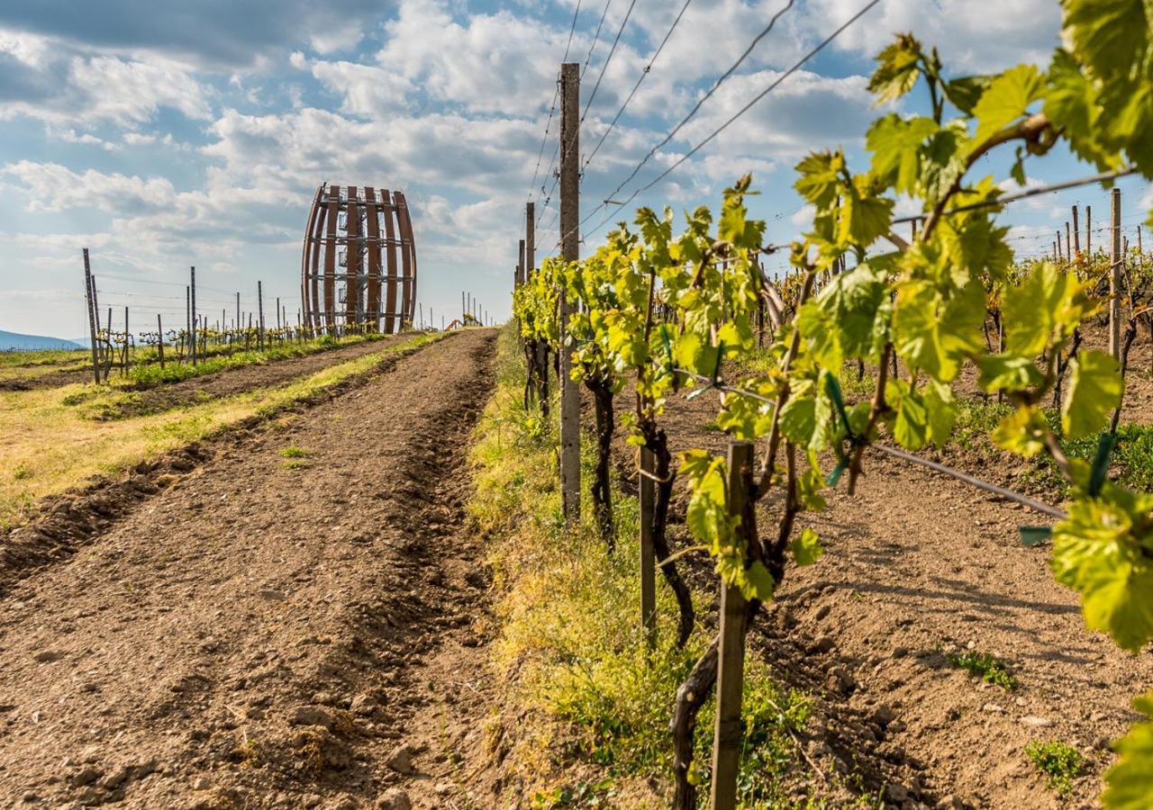 Penzion Tokaj Macik Winery B&B Mala Trna Dış mekan fotoğraf