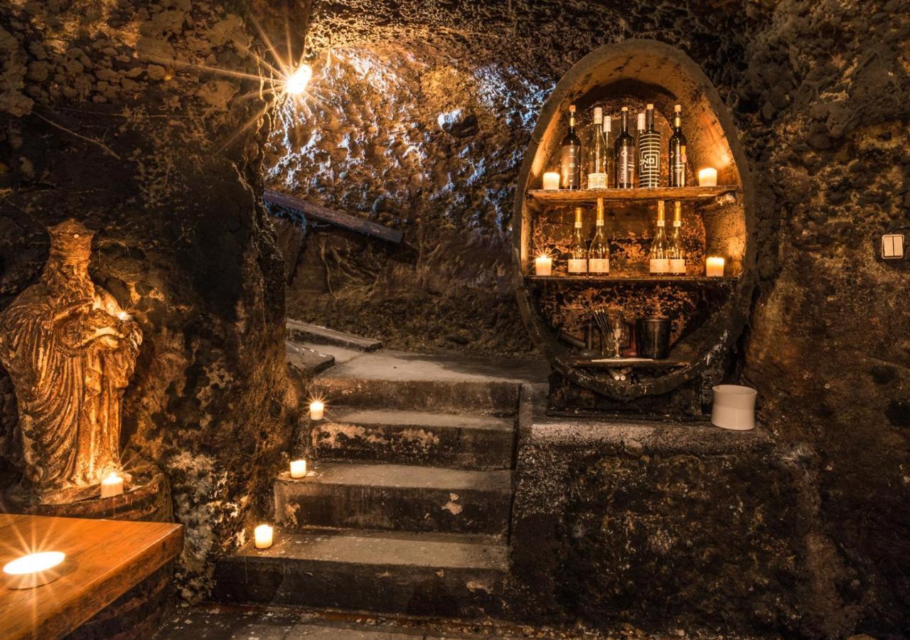 Penzion Tokaj Macik Winery B&B Mala Trna Dış mekan fotoğraf