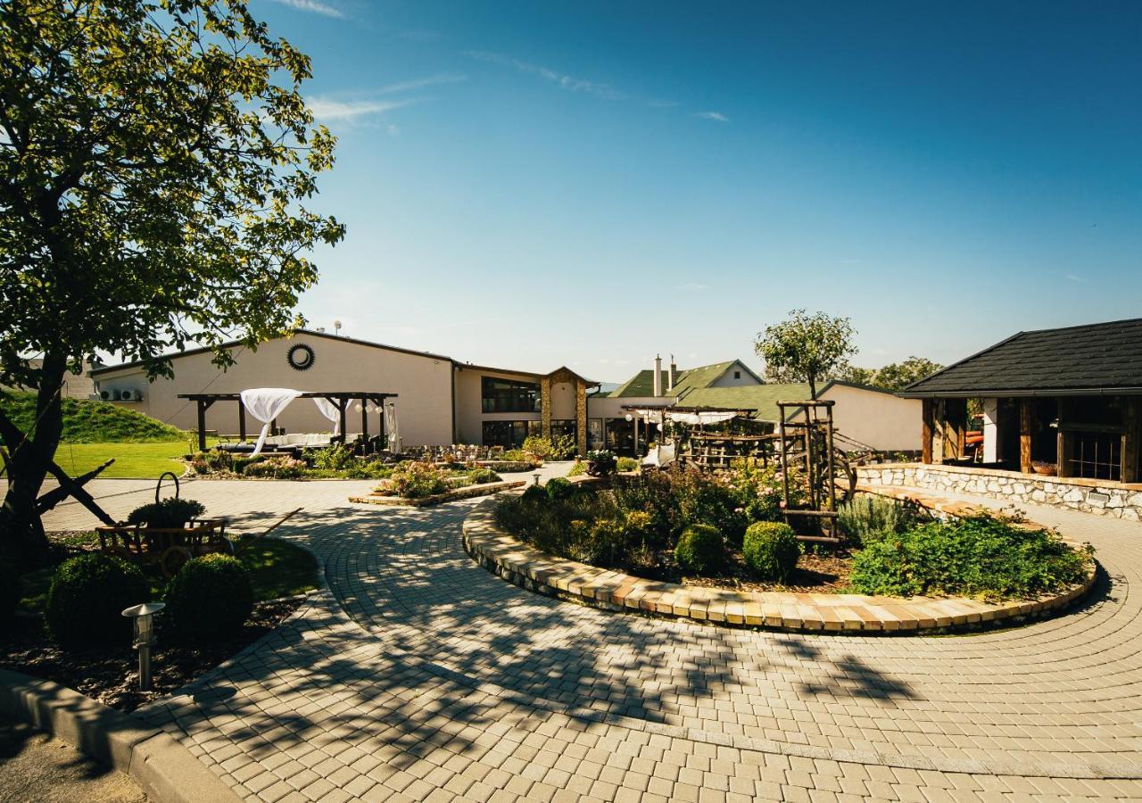 Penzion Tokaj Macik Winery B&B Mala Trna Dış mekan fotoğraf