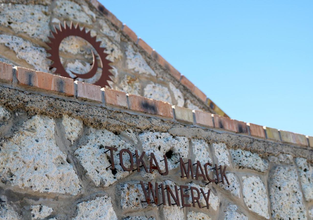 Penzion Tokaj Macik Winery B&B Mala Trna Dış mekan fotoğraf