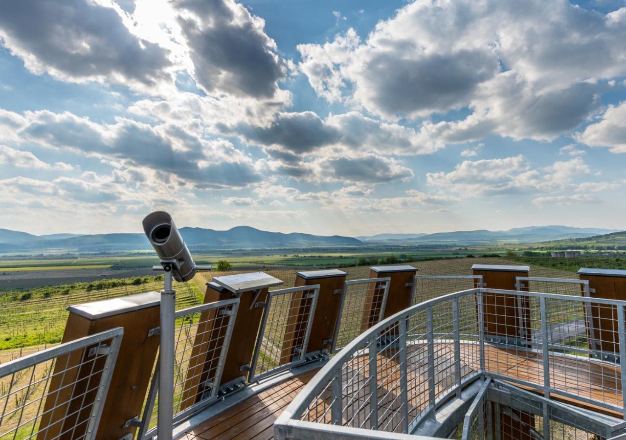 Penzion Tokaj Macik Winery B&B Mala Trna Dış mekan fotoğraf