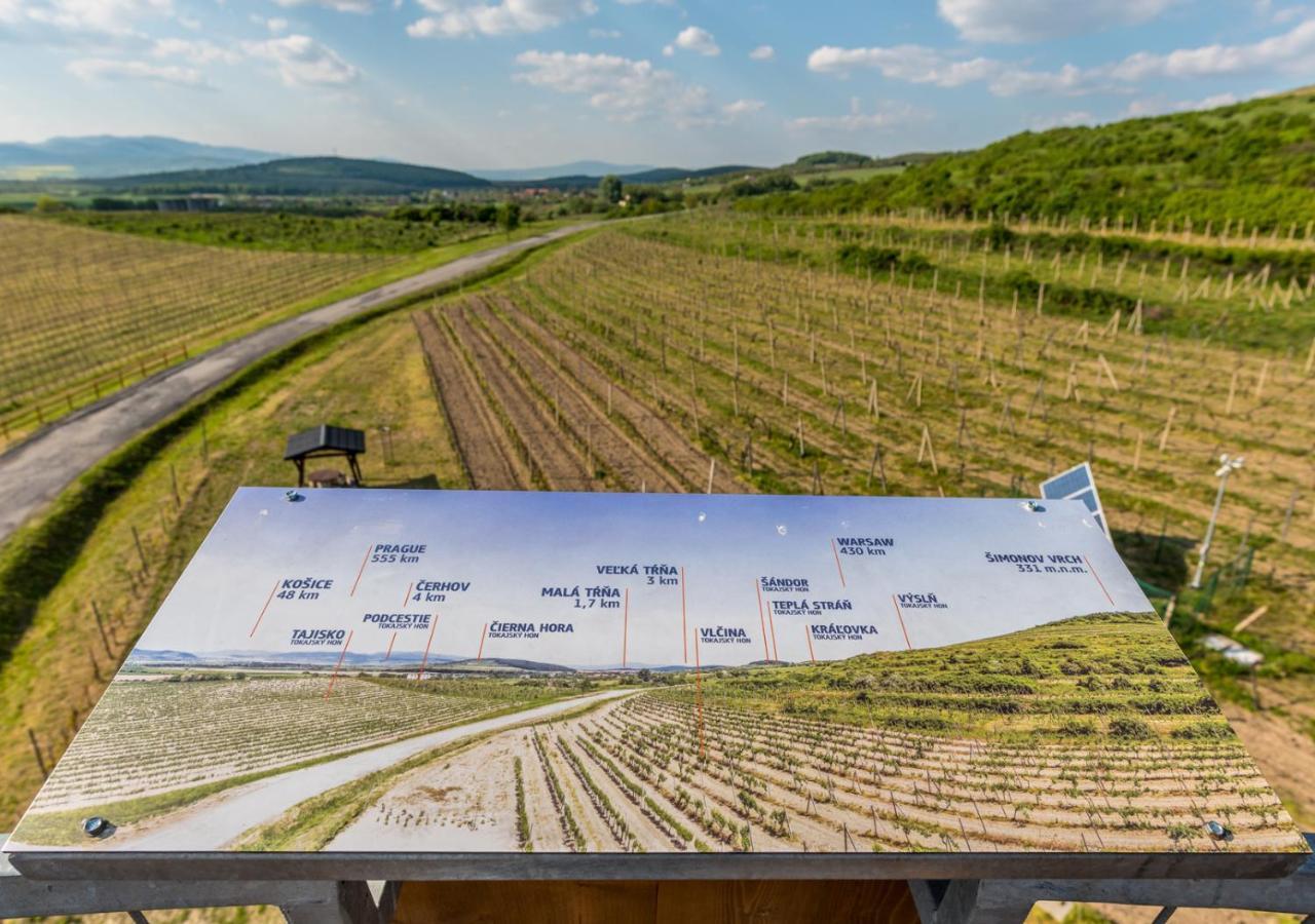 Penzion Tokaj Macik Winery B&B Mala Trna Dış mekan fotoğraf