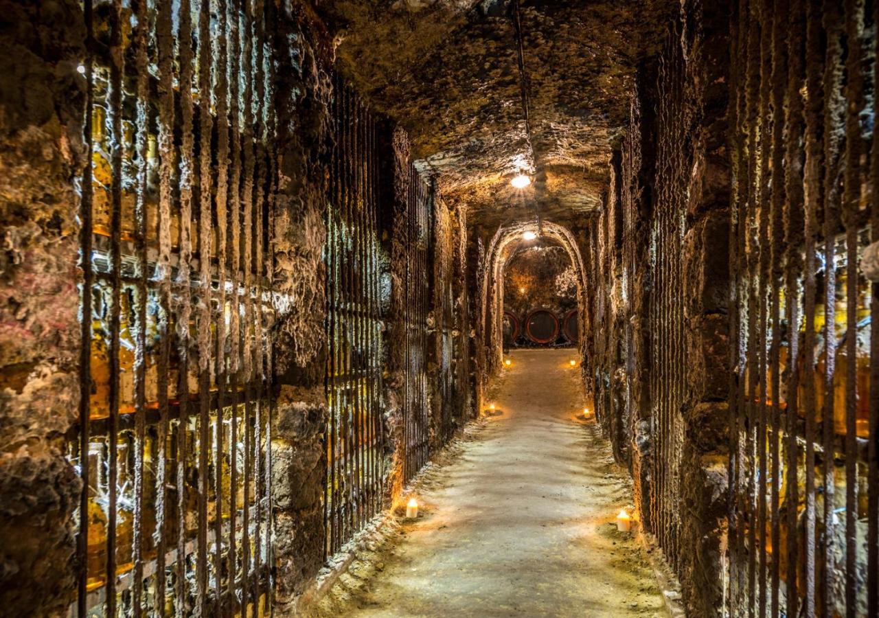 Penzion Tokaj Macik Winery B&B Mala Trna Dış mekan fotoğraf