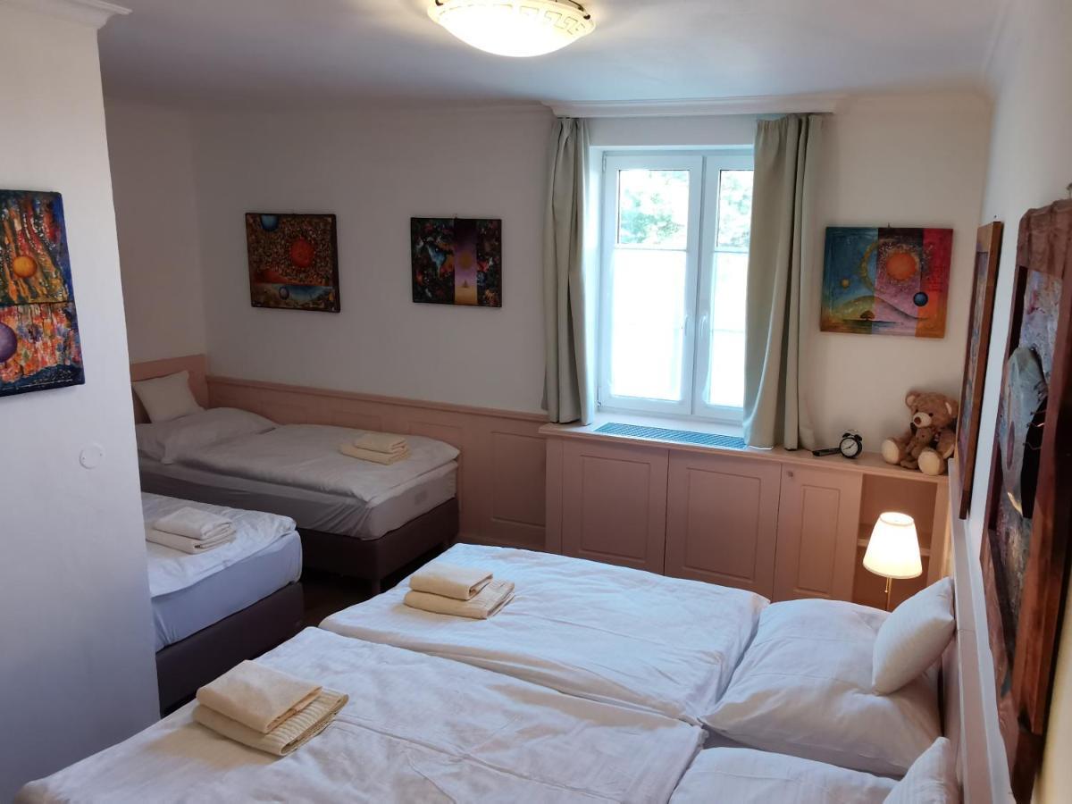 Penzion Tokaj Macik Winery B&B Mala Trna Dış mekan fotoğraf