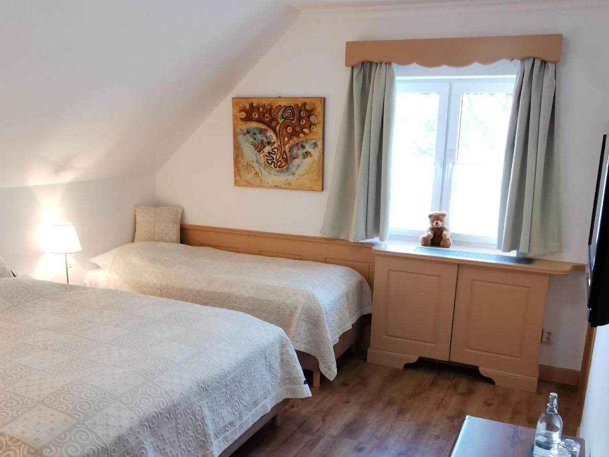 Penzion Tokaj Macik Winery B&B Mala Trna Dış mekan fotoğraf