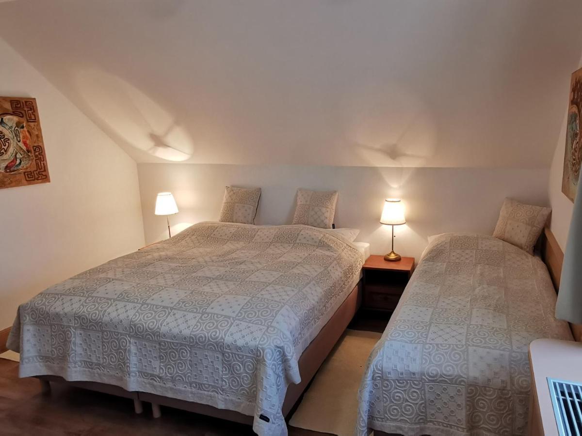 Penzion Tokaj Macik Winery B&B Mala Trna Dış mekan fotoğraf