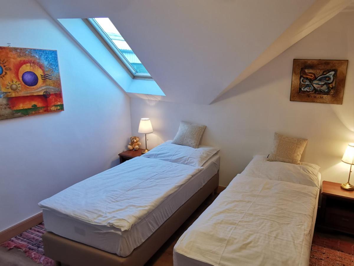 Penzion Tokaj Macik Winery B&B Mala Trna Dış mekan fotoğraf